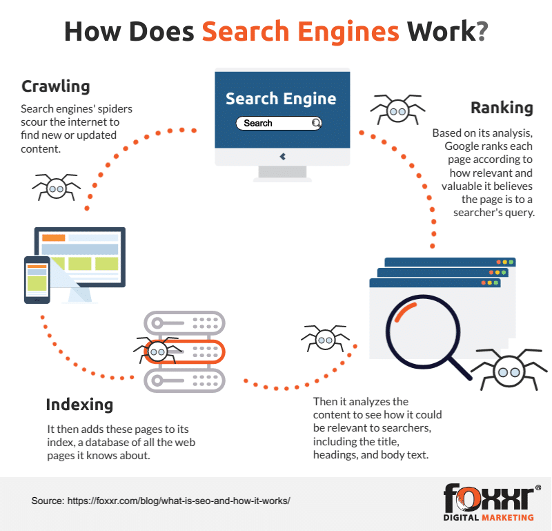 How does search engines work infographics